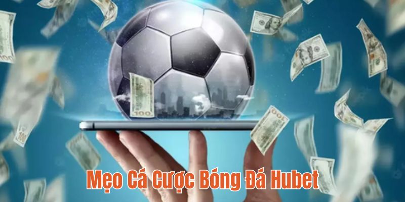 cá cược bóng đá Hubet