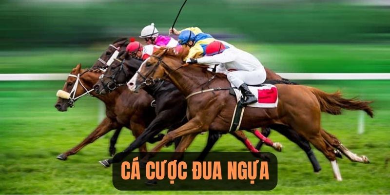 Cá cược đua ngựa