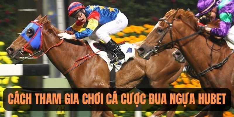 Chi tiết cách tham gia chơi cược đua ngựa HUBET