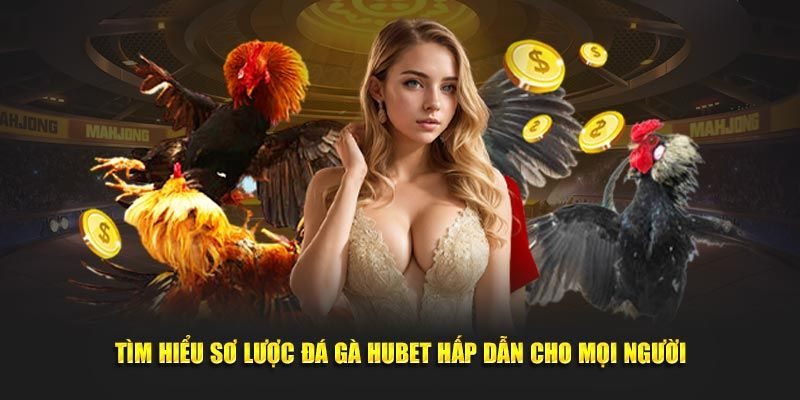 Sơ lược về đá gà Hubet